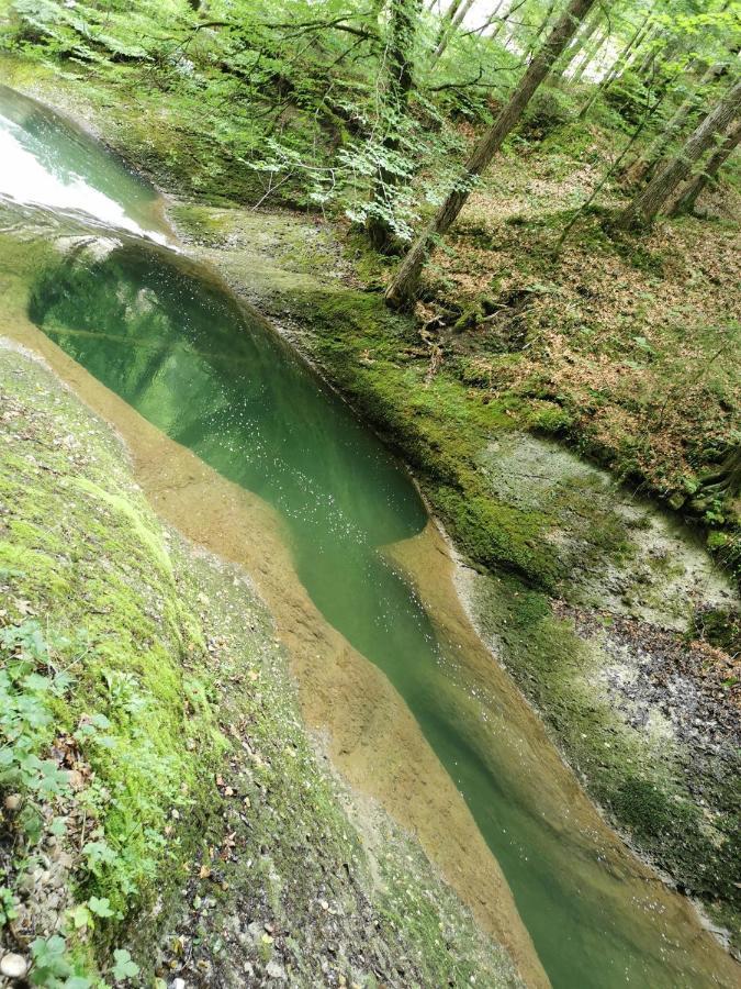 Ferienwohnung Nest Wangen im Allgäu Dış mekan fotoğraf