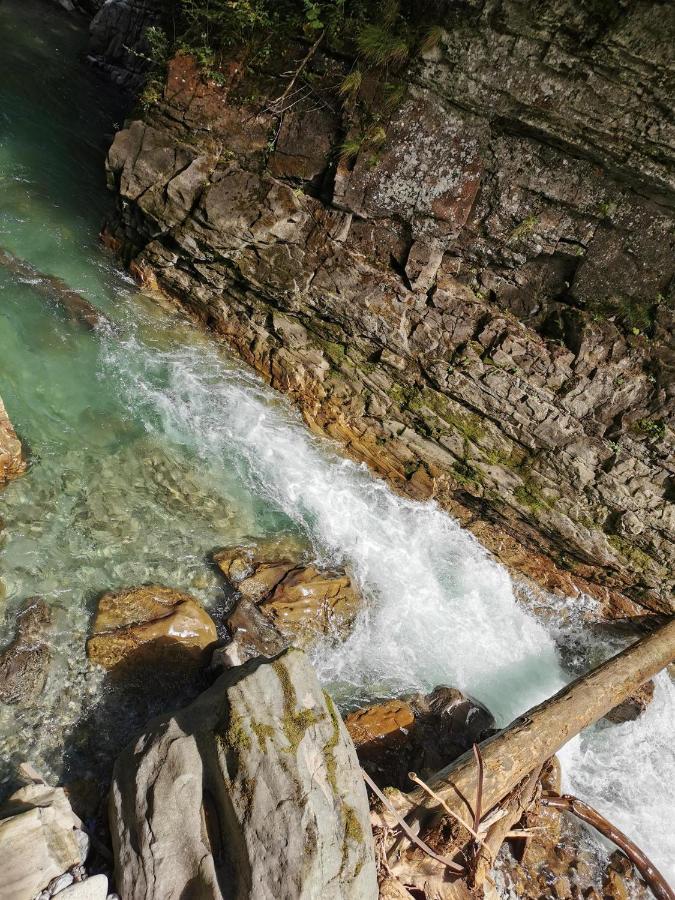 Ferienwohnung Nest Wangen im Allgäu Dış mekan fotoğraf