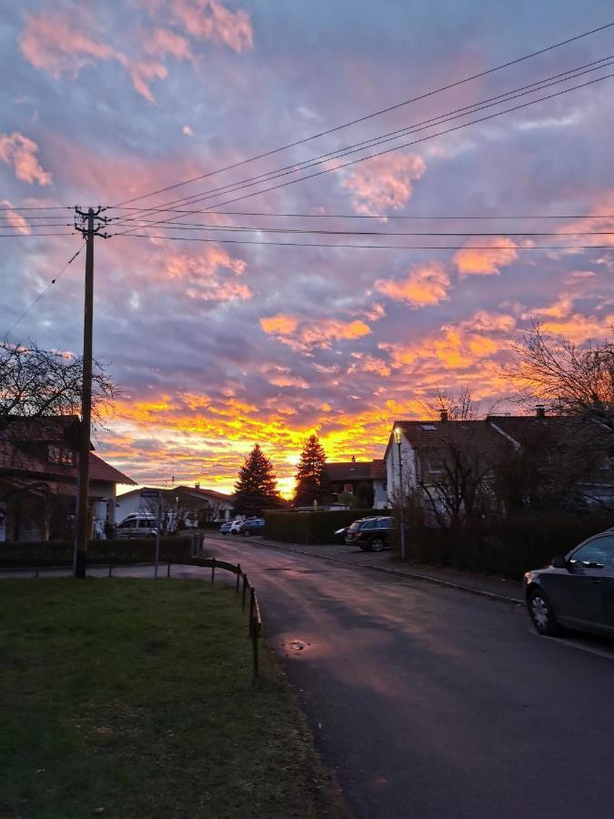 Ferienwohnung Nest Wangen im Allgäu Dış mekan fotoğraf