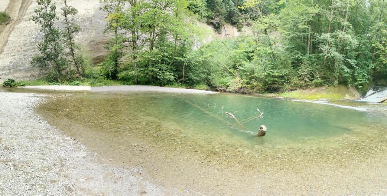 Ferienwohnung Nest Wangen im Allgäu Dış mekan fotoğraf