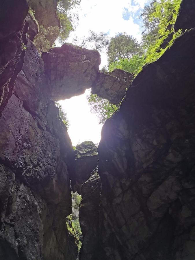 Ferienwohnung Nest Wangen im Allgäu Dış mekan fotoğraf